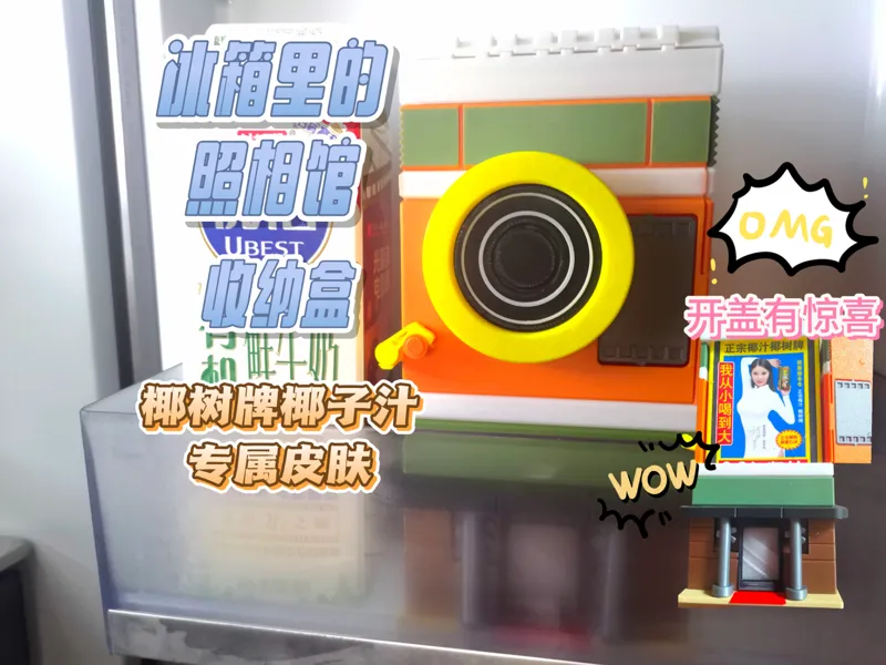 冰箱里的照相馆 椰树牌椰汁1L装 冰箱定制盒 收纳盒 写真 微缩建筑 可动