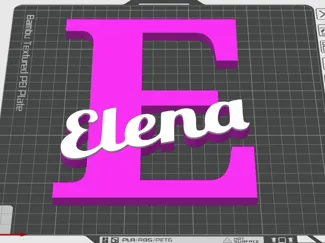 Elena inicial con nombre / initial name