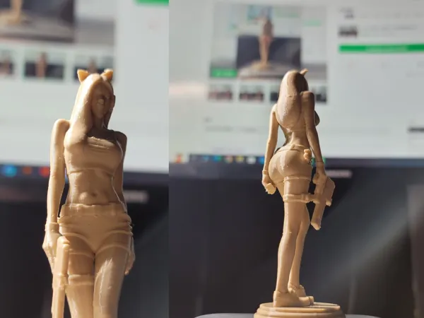 https://makerworld.bblmw.com/makerworld/model/US8c1dc8eb08783a/design/2025-09-23_4f6c90ea779ba.png