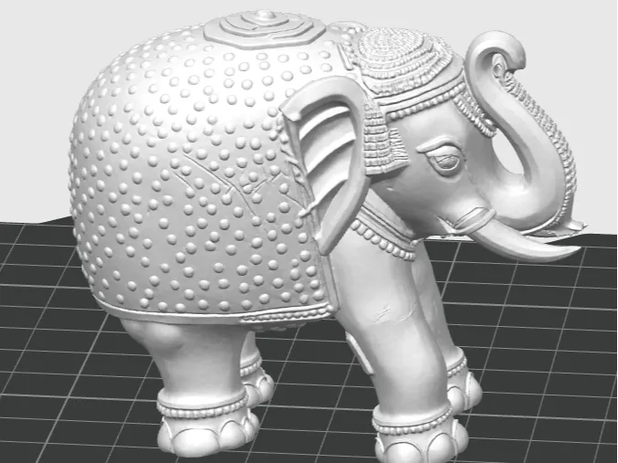 Textured Indian Elephant