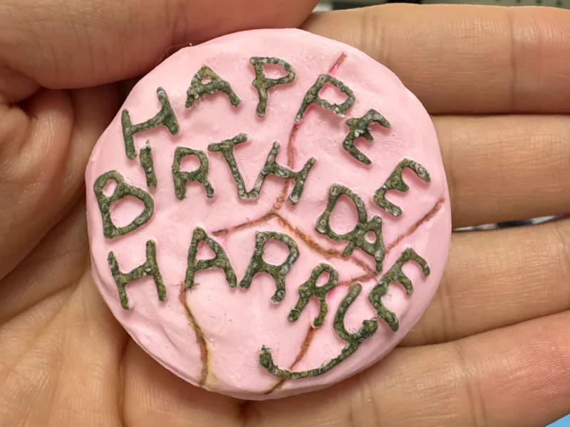 哈利波特生日蛋糕冰箱贴