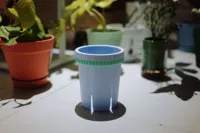 16cm