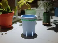 12cm