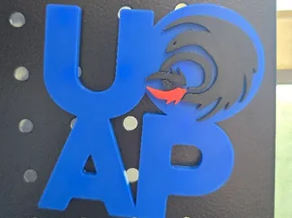 UOAP HTTYD Magnet