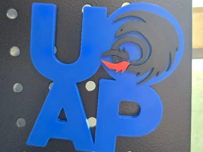 UOAP HTTYD Magnet