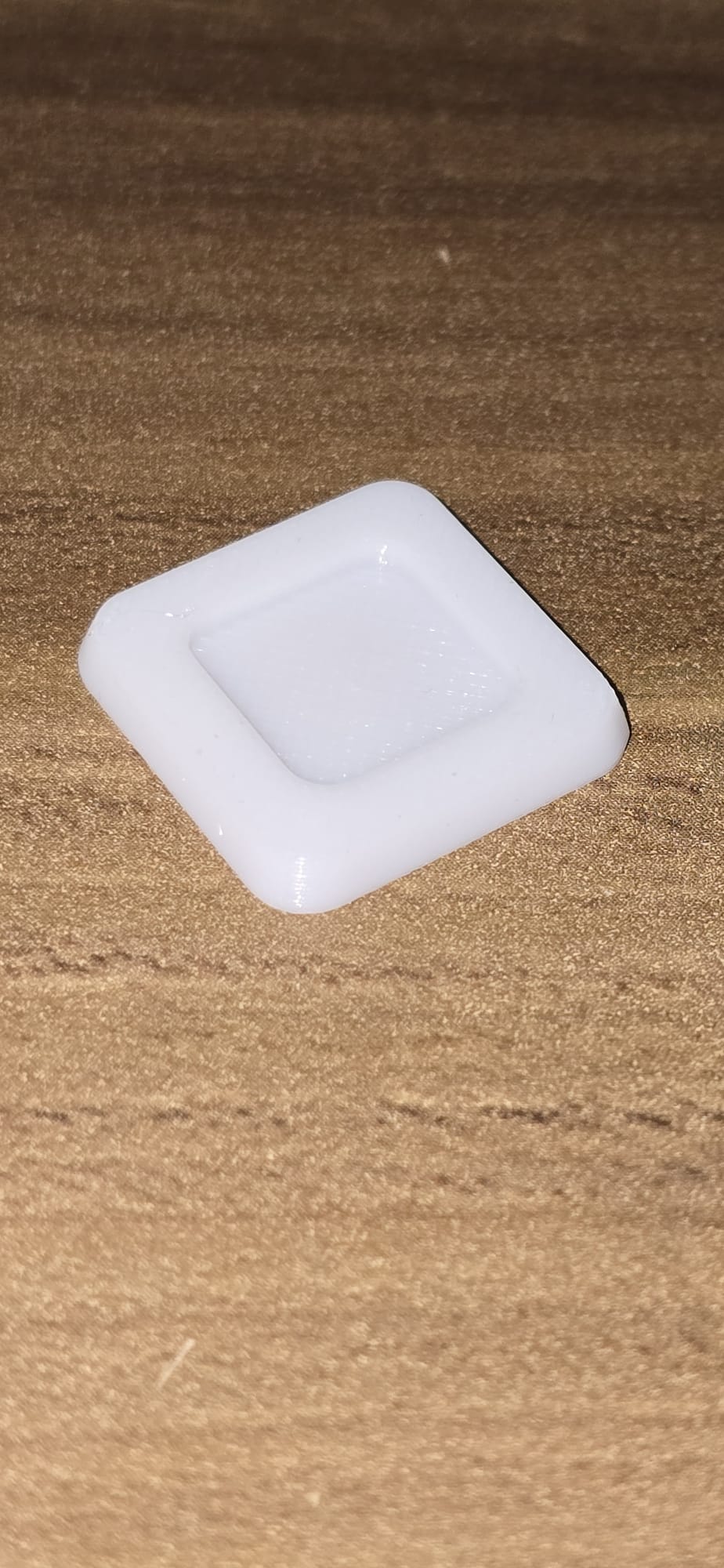 Miniatura 1 do modelo 3D Modern ant feeder