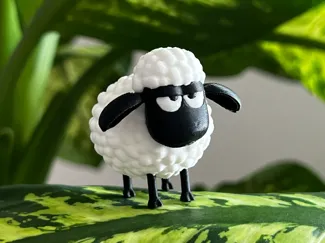 Grumpy Fluffy Sheep