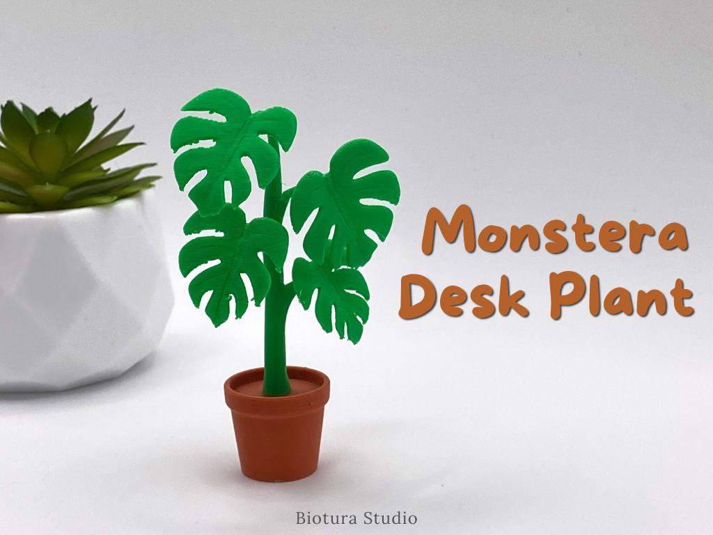 MONSTERA DESK PLANT - Office & Home Decor