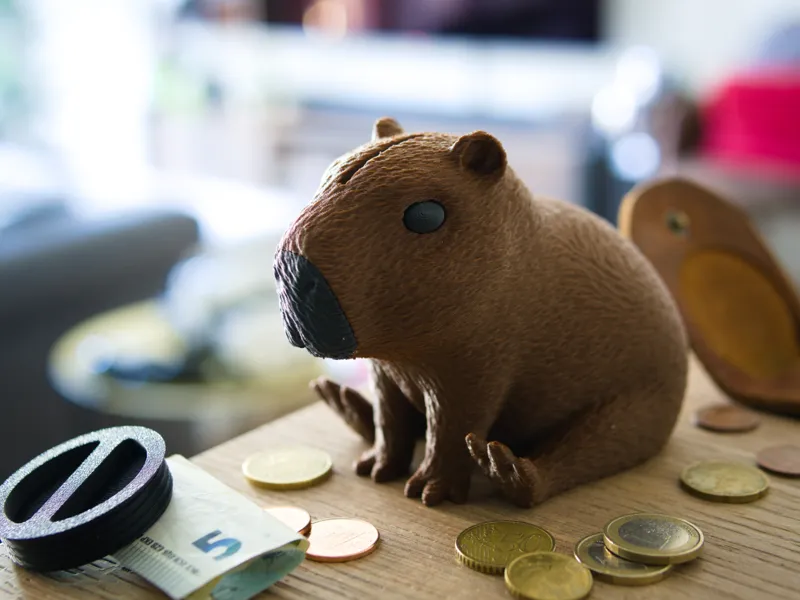 Capybara money bank (fur & knit texture)