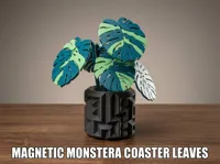 Magnetic Monstera Coaster Leaves