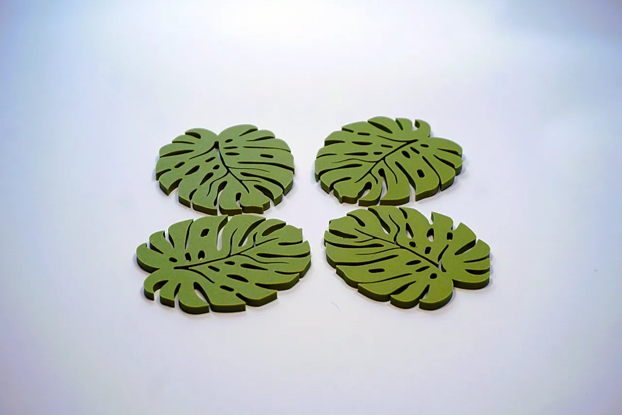 Monstera Coaster Leaf view 4
