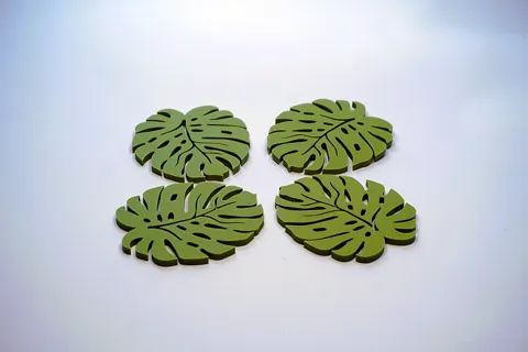 Monstera Coaster Leaf view 4