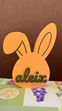 Aleix
