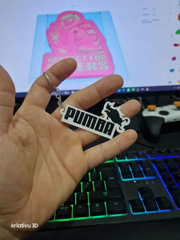 https://makerworld.bblmw.com/makerworld/model/US8c42d64a80f341/design/2024-02-18_617f034d0a3ff.jpg