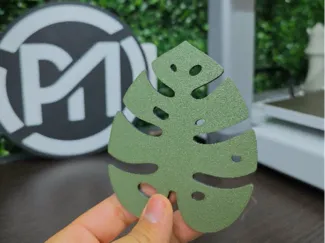 Leaf Coaster