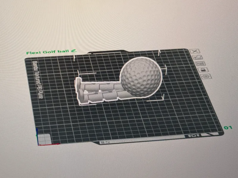 Flexi Gold Ball
