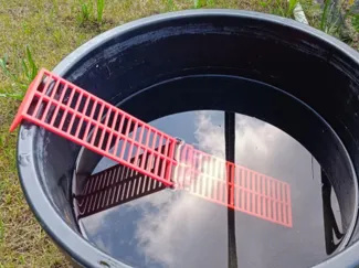 Small Animal & Bird Ladder – Feeder Ramp