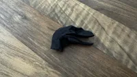 Crâne de vélociraptor — photo 3