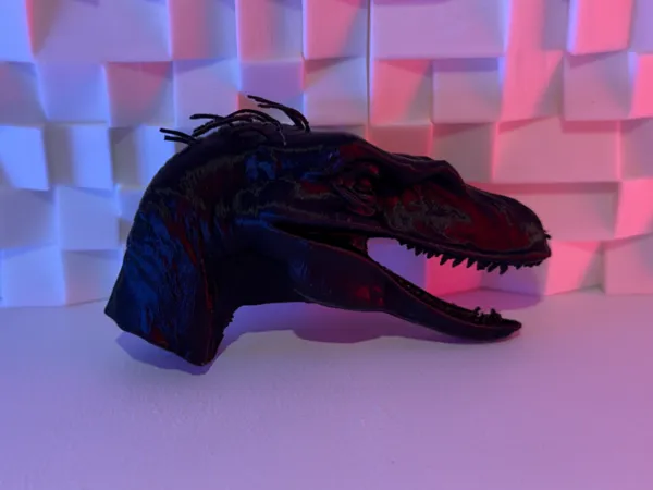 Crâne de vélociraptor