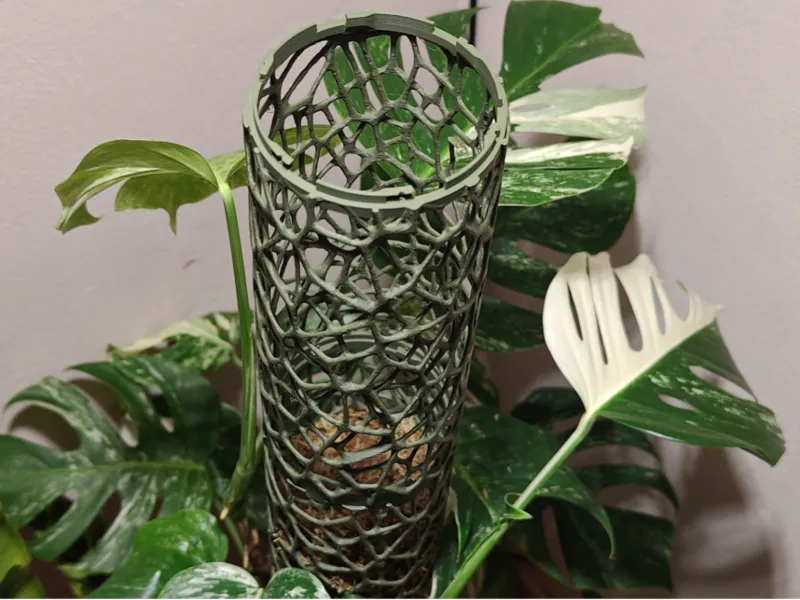 moss pole voronoi - locking Moosstab