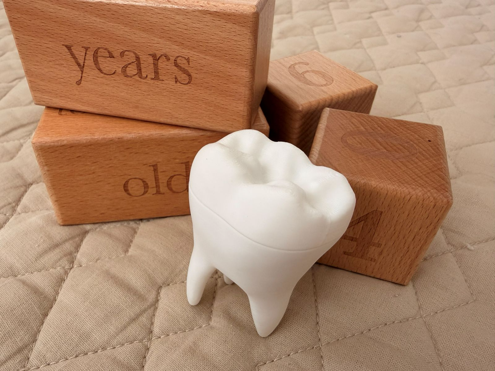 Tooth Fairy Molar Money Box