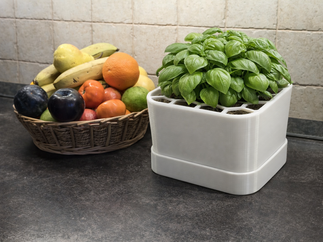 Parametric Self-Watering Planter System