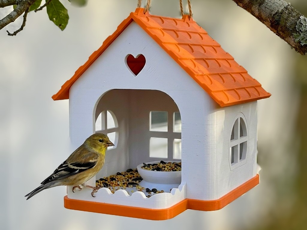 Heart Haven - Charming 2-Part Birdhouse & Feeder - 1