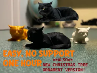Black Cat