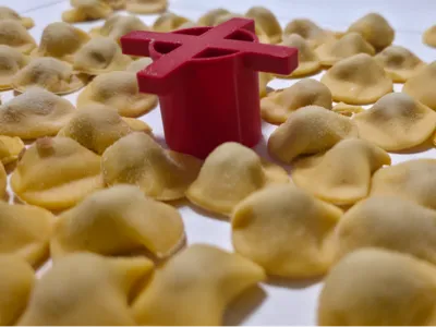 Anolini Mold