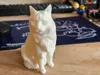 0.2mm layer, 3 walls, 15% infill