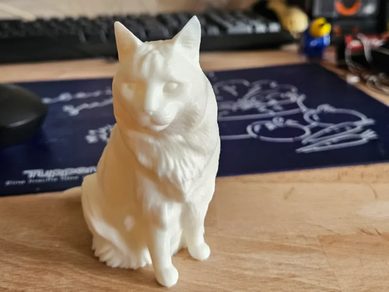 Katze sitzend