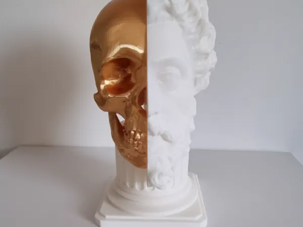 https://makerworld.bblmw.com/makerworld/model/US8c62df61495ed/design/2025-02-21_68aae7c28f806.jpg