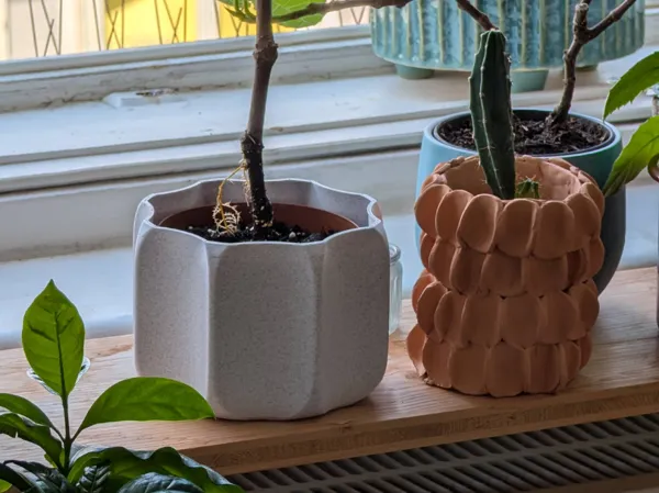 https://makerworld.bblmw.com/makerworld/model/US8c64274fc226f7/design/2025-06-25_ffd94377119e1.jpg