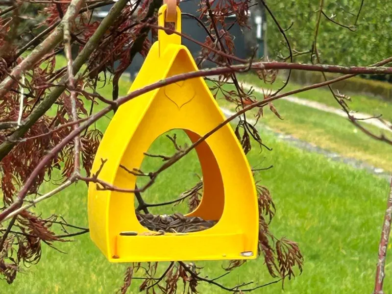 Bird feeder