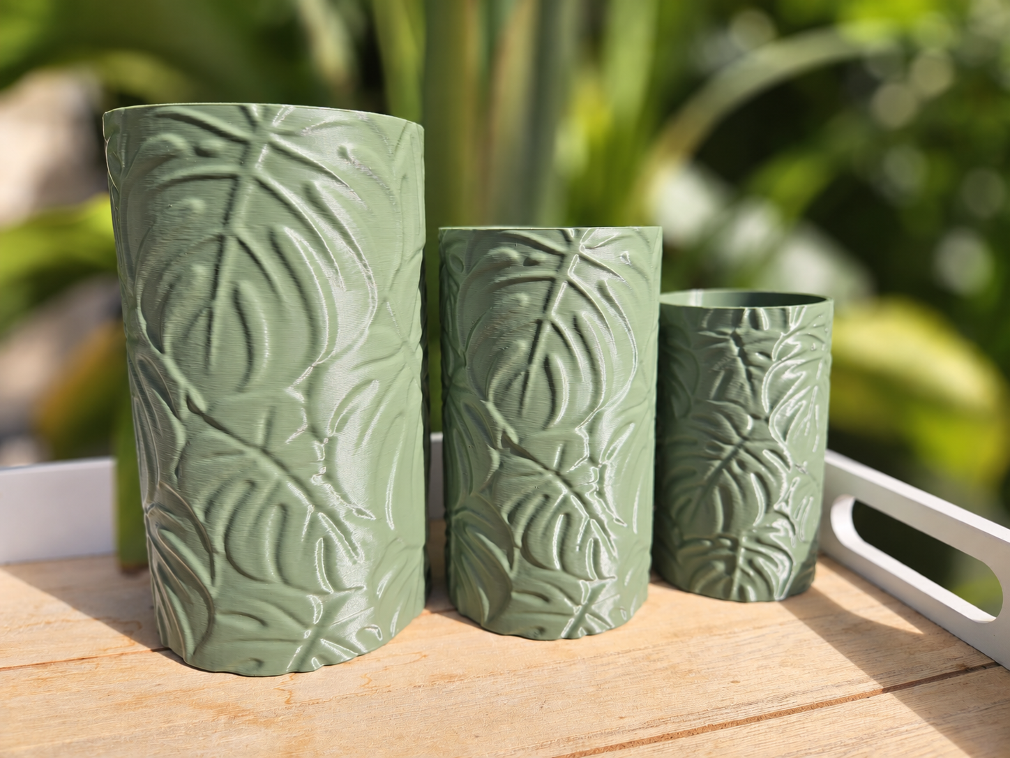 Planter Monstera - 1