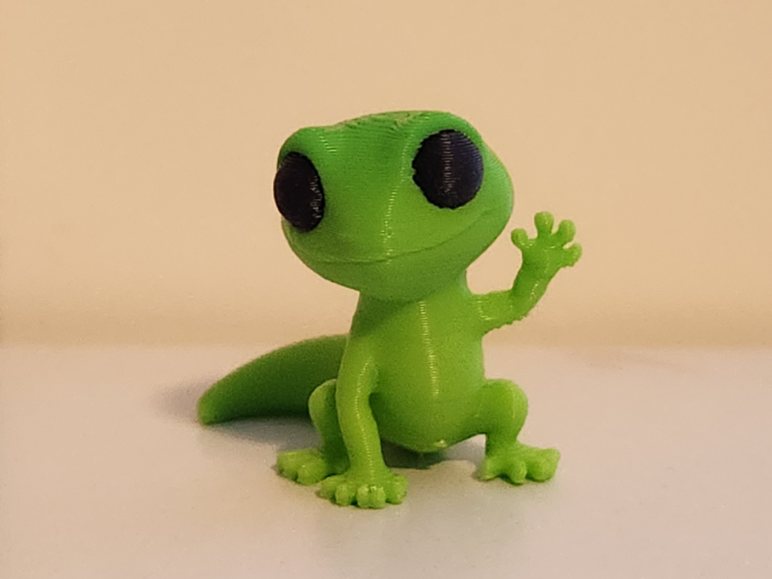Friendly Mini Gecko