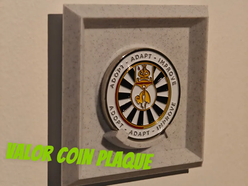 Valor Coin Plaque 