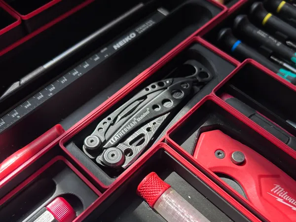 https://makerworld.bblmw.com/makerworld/model/US8c741af44e3ec/design/2025-05-23_475d4612331a.jpeg