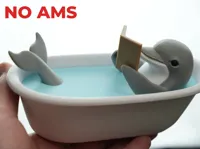 no ams