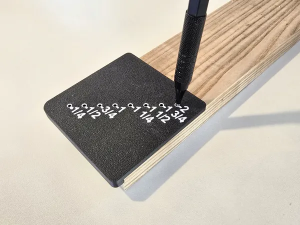 https://makerworld.bblmw.com/makerworld/model/US8c81449a9e51f3/design/2025-02-05_800d5e426d69f.jpg