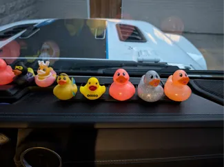 Duck Duck Dashboard - Clip-in Rubber Duck Mount