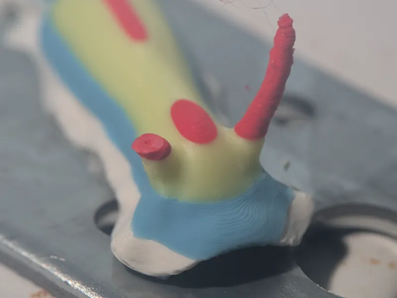 Nudibranch
