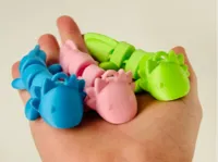 Porte-clés axolotl — photo 2