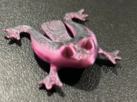 Mini Jumping Frog Toy