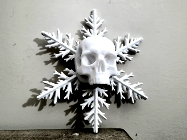https://makerworld.bblmw.com/makerworld/model/US8c9357fdfc9571/design/2025-11-23_35a748aa7d6eb.jpg