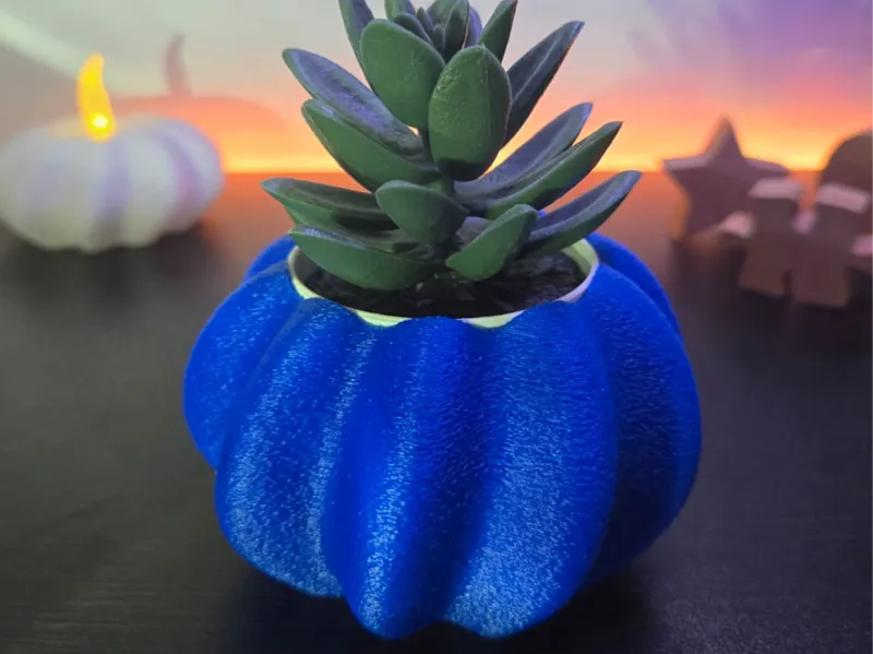 Plant holder SP