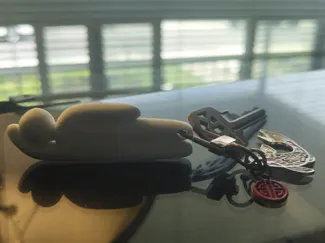 Meccha chameleon laying pose with keychain hole