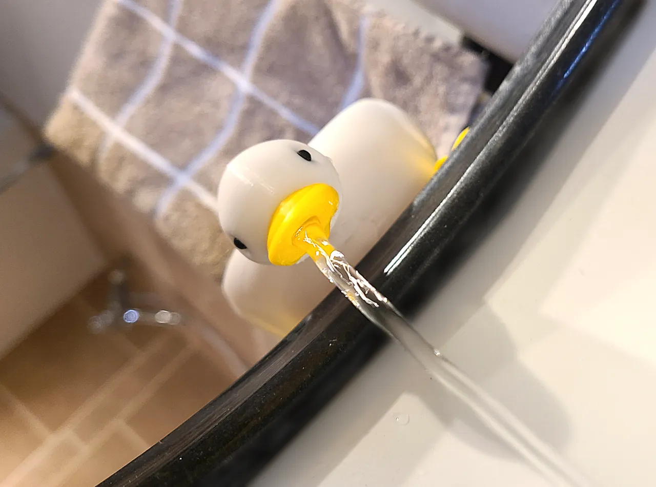 Duck Soap Dish view 2