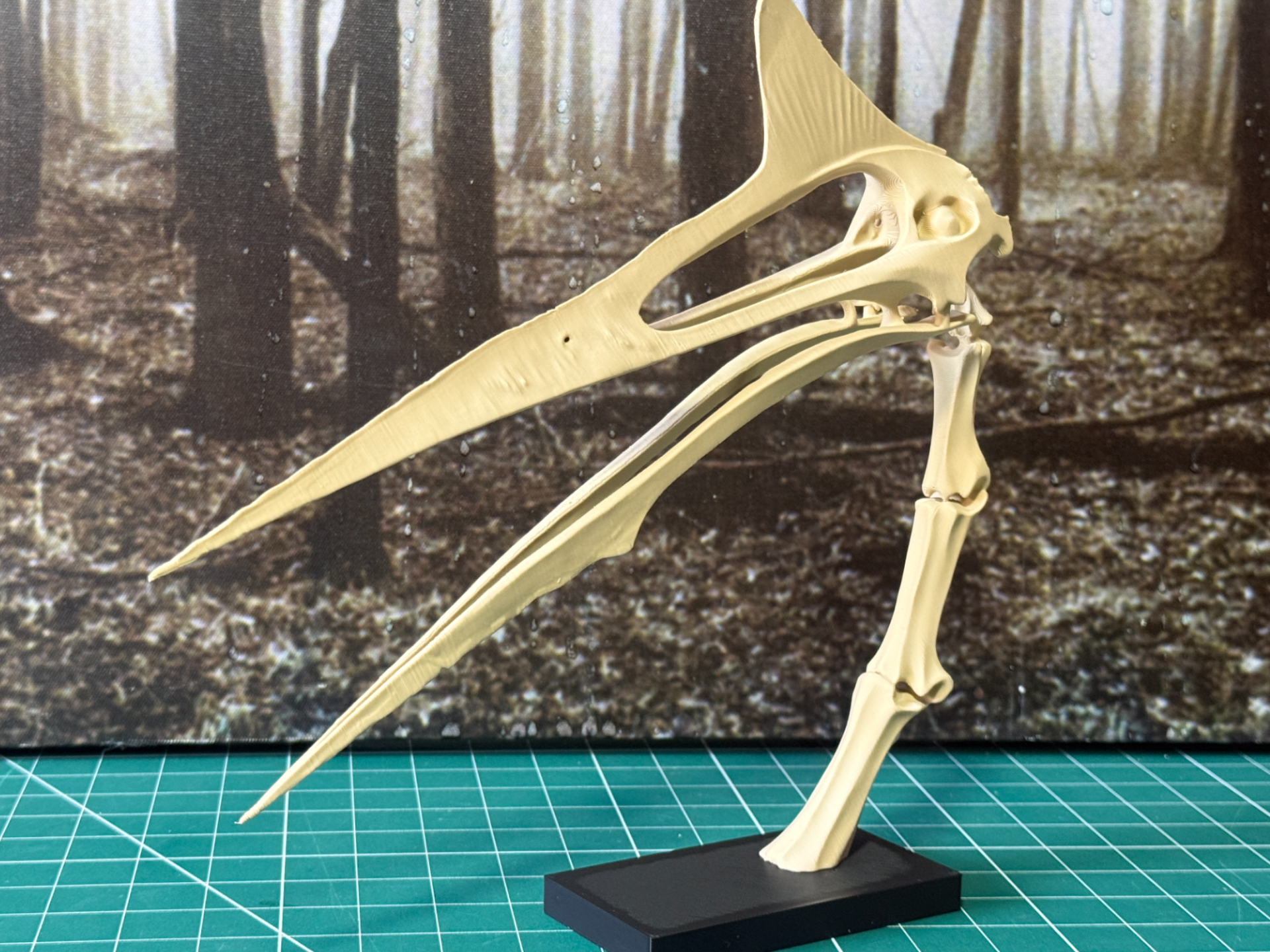 Quetzalcoatlus Skull & Neck | Display Model - 1