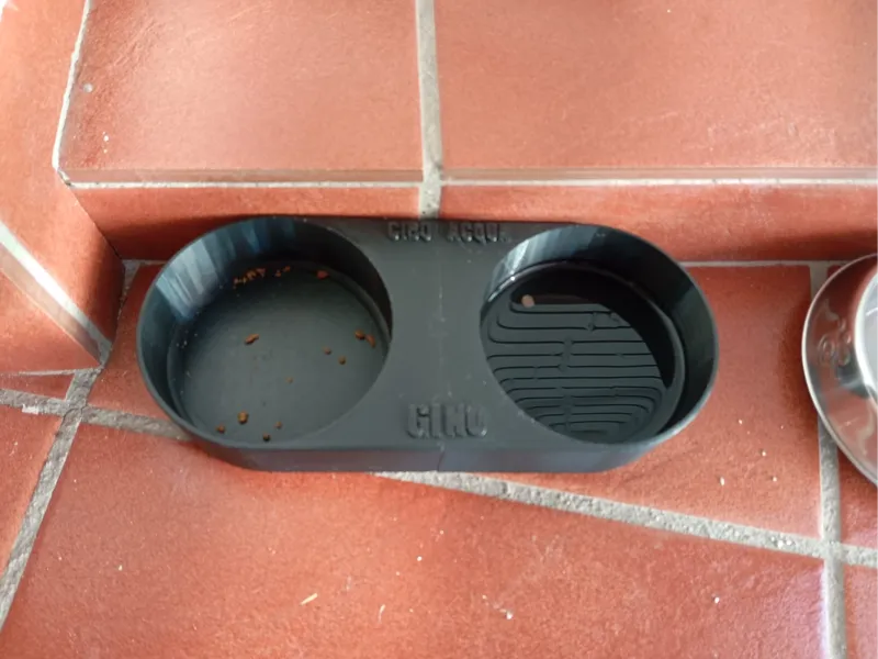 Dual Bowl V2 for individual cleaning (WATERPROOF)